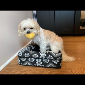 Meet your Posher, Sabrina